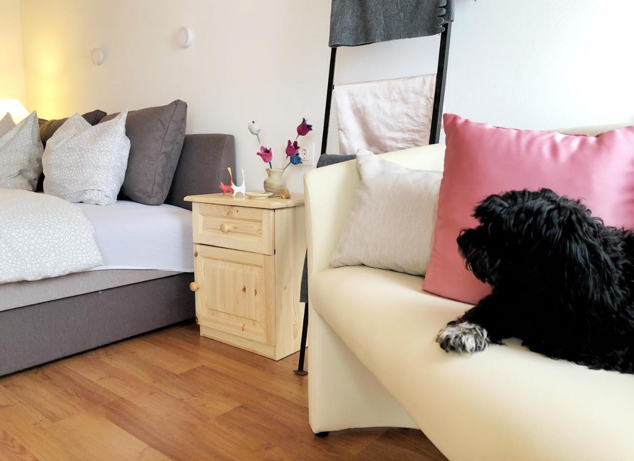 Balaton Apartman פלוזנק מראה חיצוני תמונה