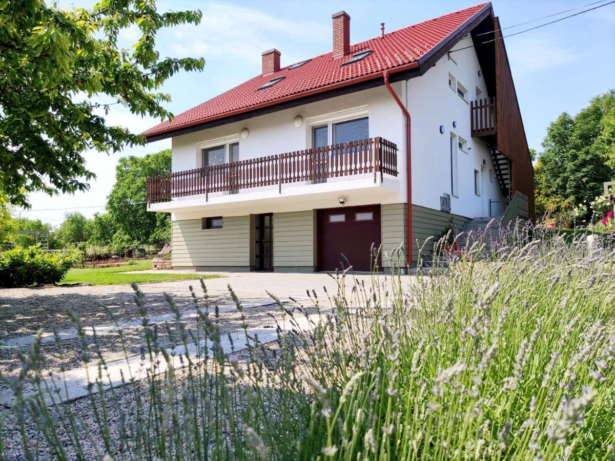 Balaton Apartman פלוזנק מראה חיצוני תמונה